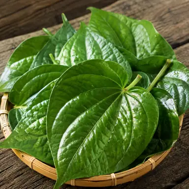 Daun Papua Bungkus